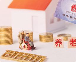 养老金查询