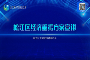 【区发展改革委】新航娱乐区加快推动经济恢复和重振的实施方案宣讲